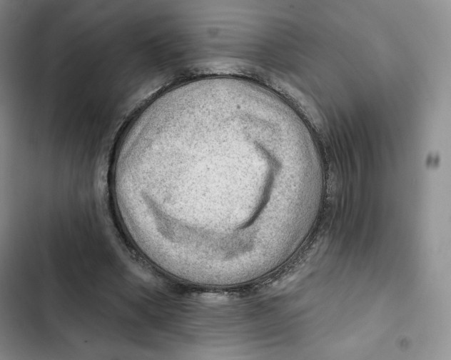 X0000102280394200808221309