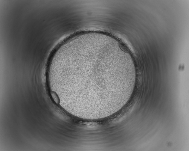 X0000102280395200808221309