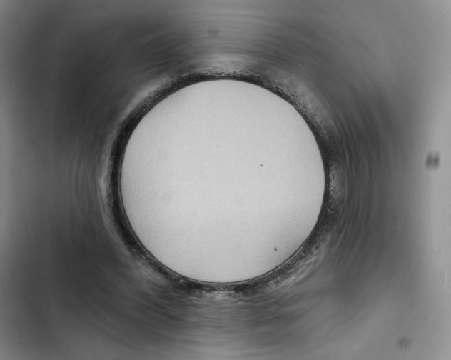 X0000102280396200808221309