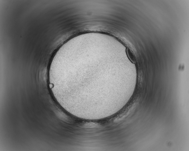 X0000102280397200808221309