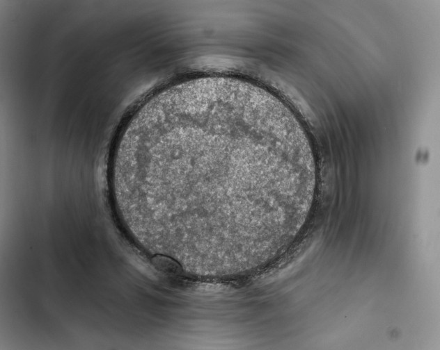 X0000102280399200808221309
