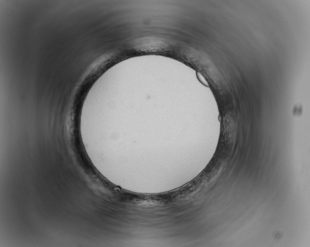 X0000102280400200808221309