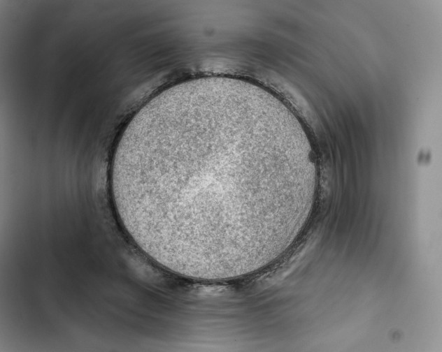 X0000102280401200808221309
