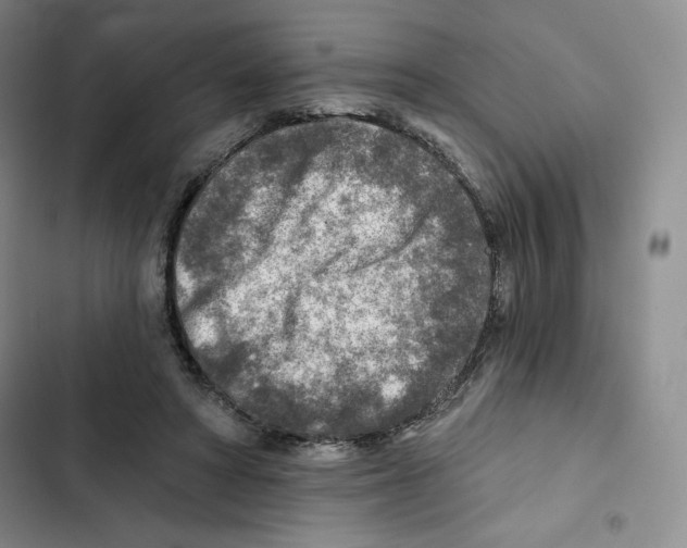 X0000102280402200808221309