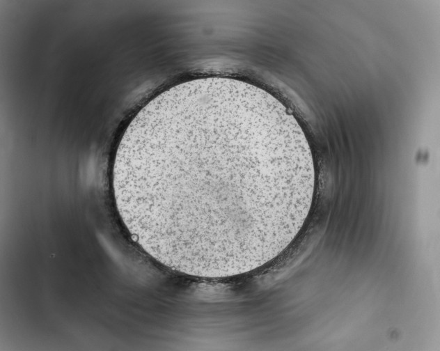 X0000102280403200808221309