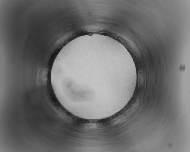 X0000102280404200808221309