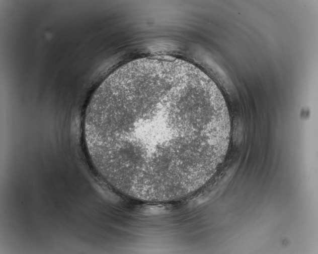 X0000102280405200808221309