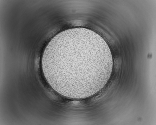 X0000102280406200808221309
