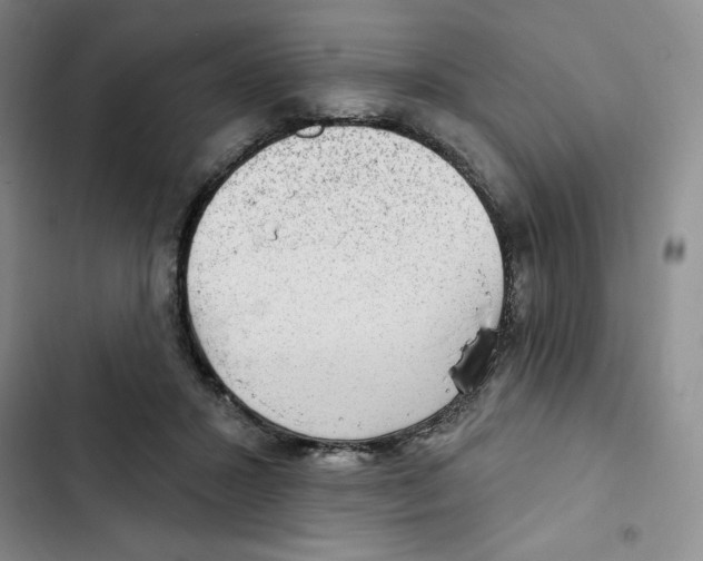 X0000102280407200808221309