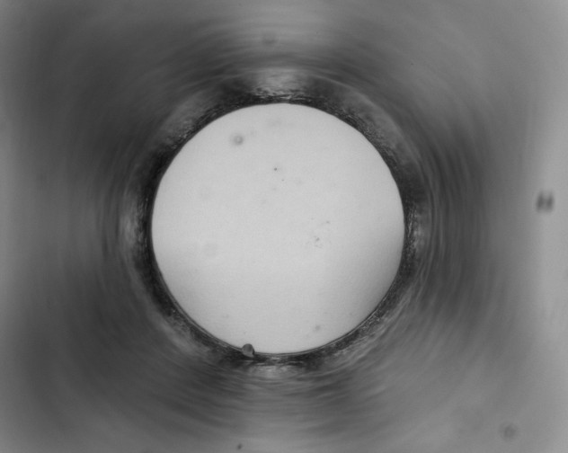X0000102280408200808221309