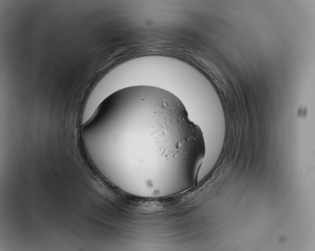 X0000102280409200808221309