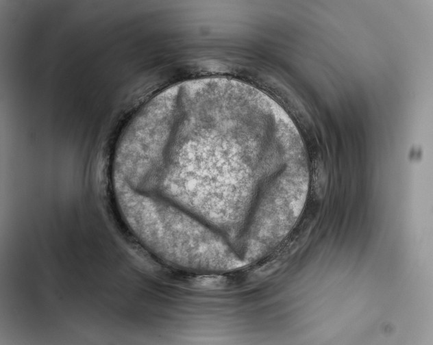 X0000102280410200808221309