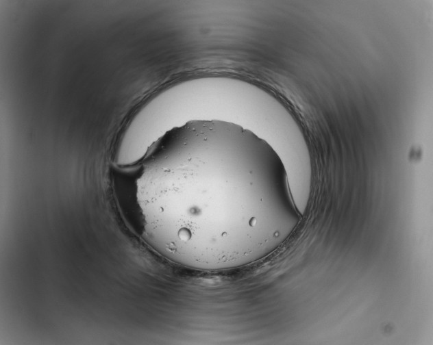 X0000102280411200808221309