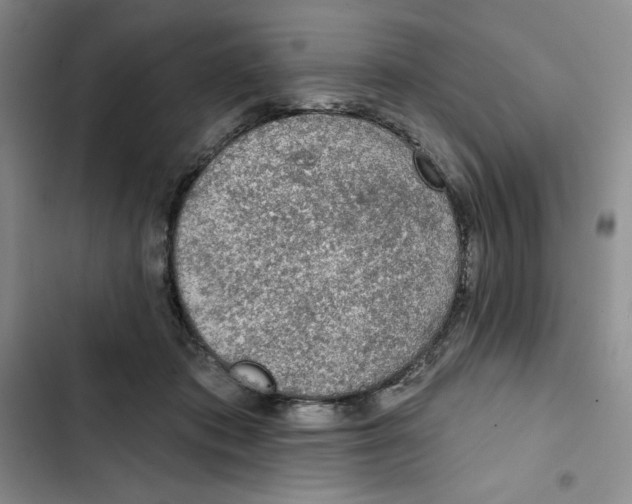 X0000102280413200808221309