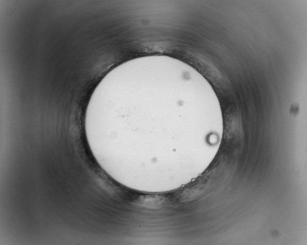 X0000102280414200808221309