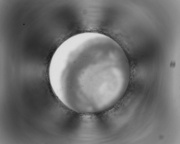 X0000102280415200808221309