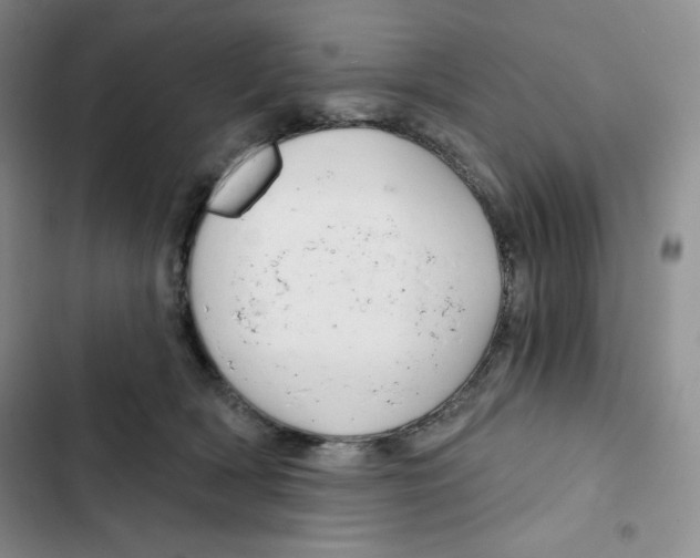 X0000102280418200808221309