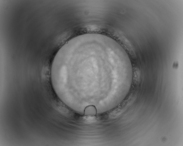 X0000102280419200808221309