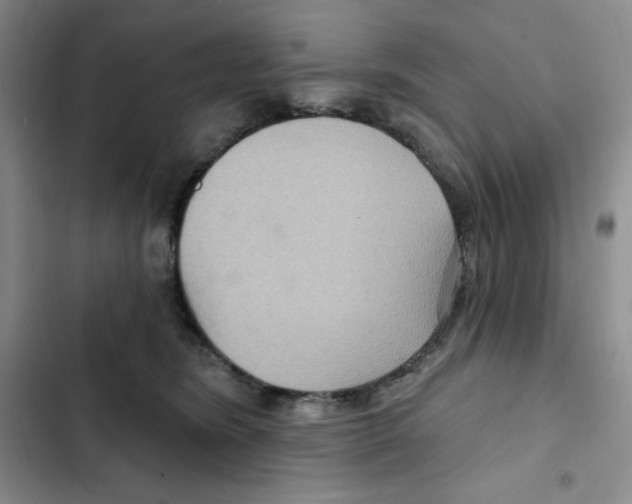 X0000102280420200808221309