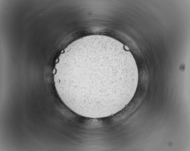 X0000102280421200808221309