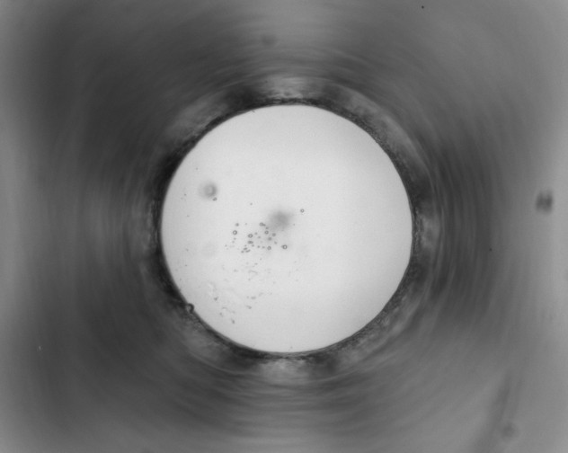 X0000102280422200808221309