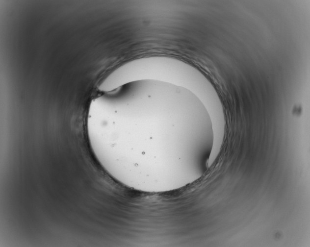 X0000102280423200808221309