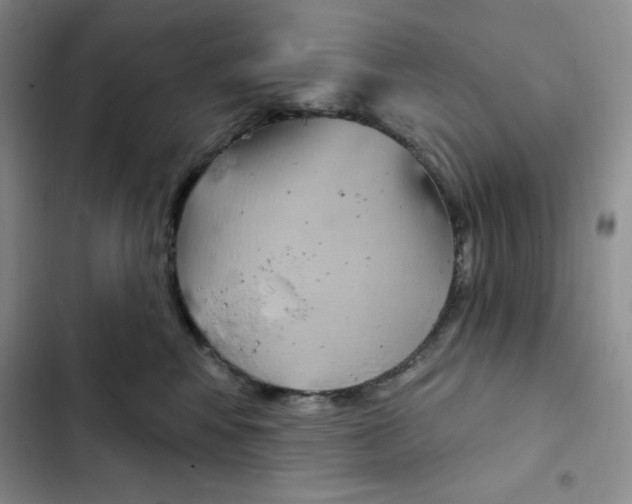 X0000102280424200808221309