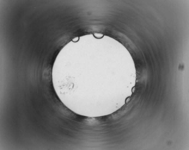 X0000102280425200808221309