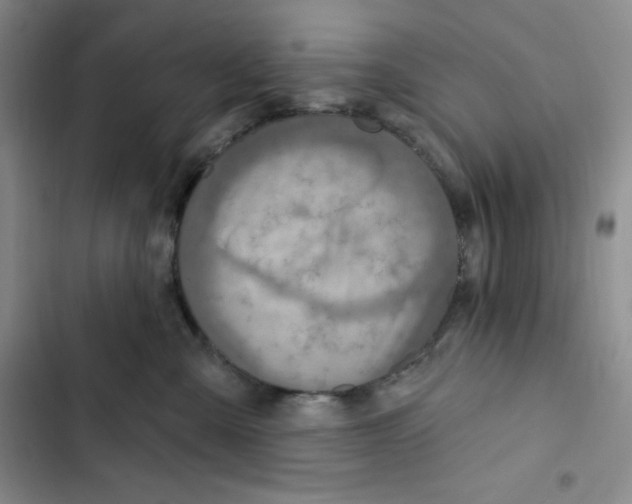 X0000102280427200808221309