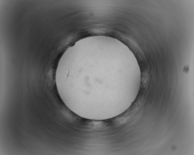 X0000102280428200808221309
