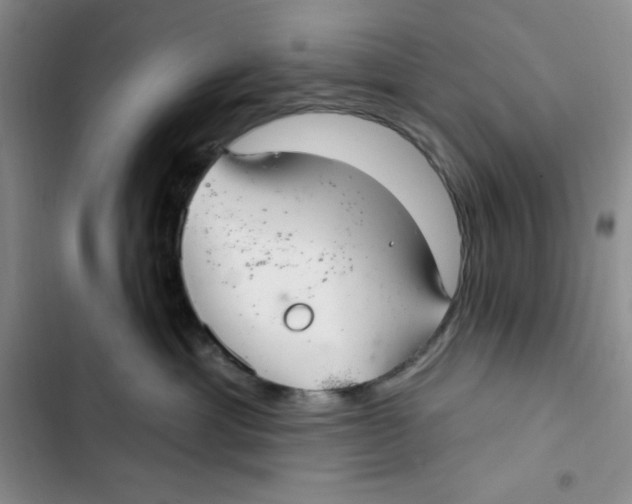 X0000102280429200808221309