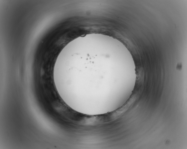X0000102280430200808221309