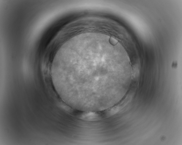 X0000102280431200808221308