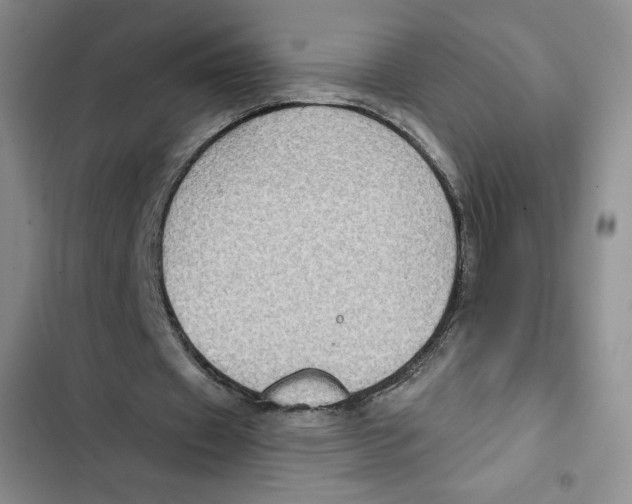 X0000102280433200808221307