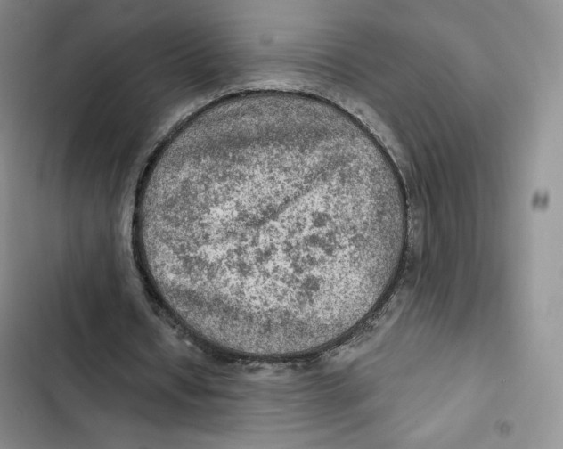 X0000102280434200808221307