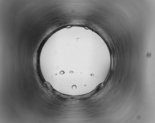 X0000102280435200808221307