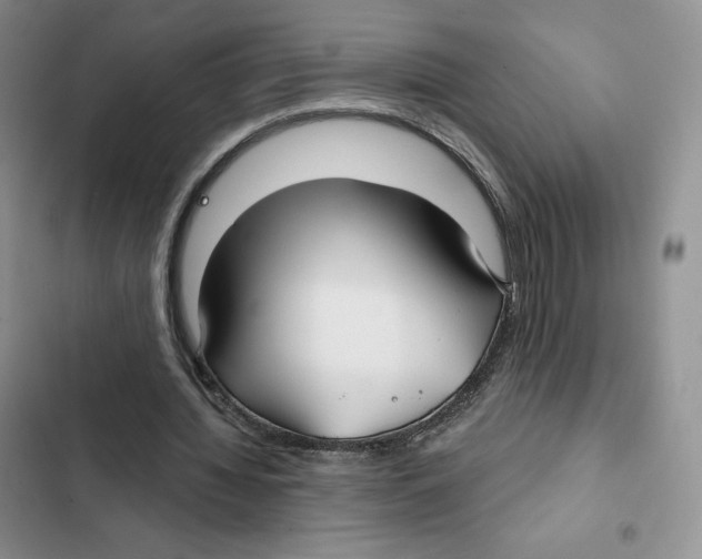 X0000102280436200808221308