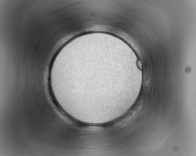 X0000102280437200808221308