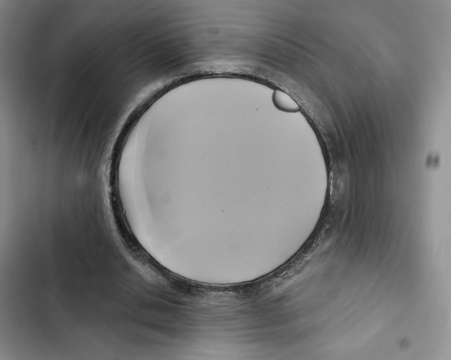 X0000102280438200808221308