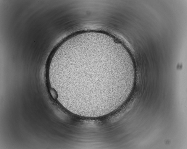 X0000102280439200808221308
