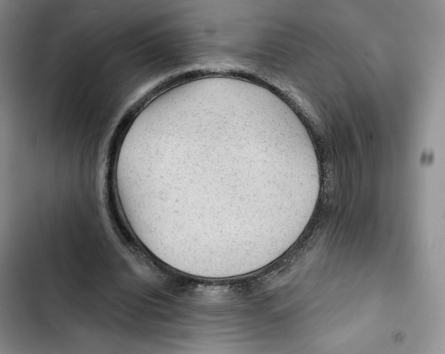 X0000102280440200808221308