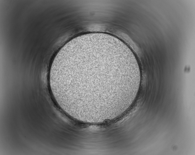 X0000102280441200808221308