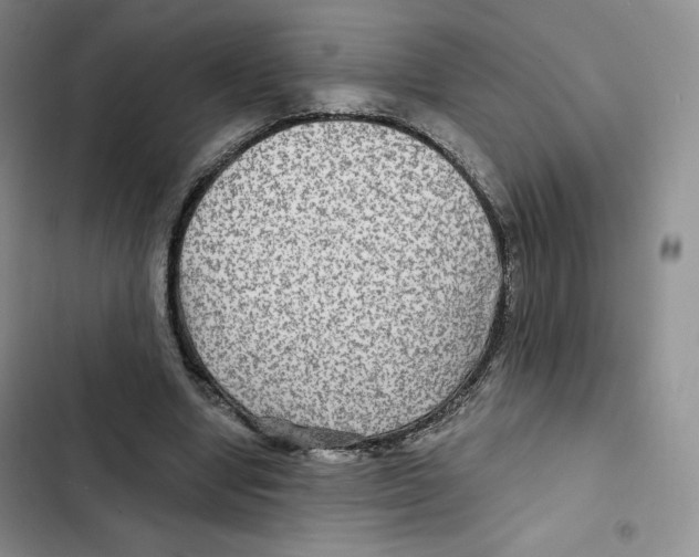 X0000102280442200808221308