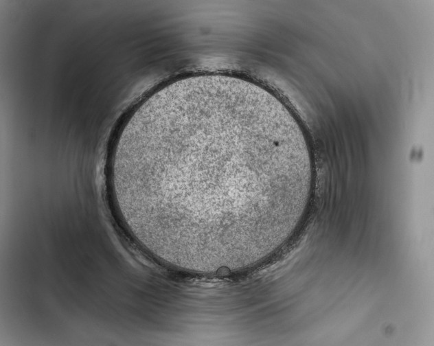 X0000102280443200808221308
