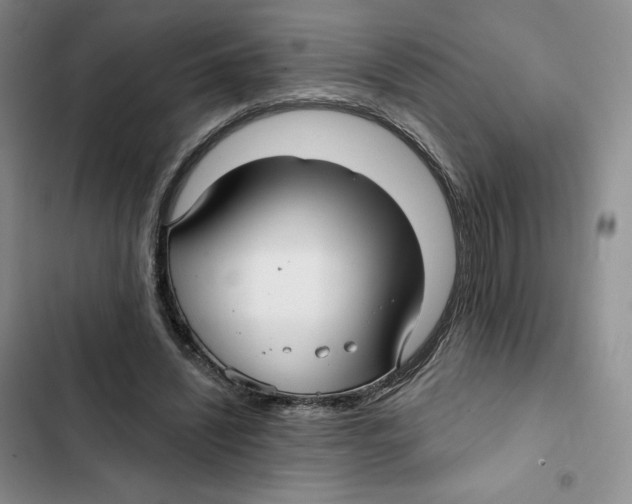 X0000102280444200808221308