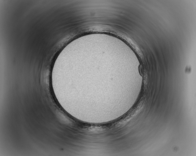 X0000102280445200808221308