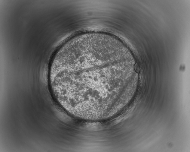 X0000102280446200808221308