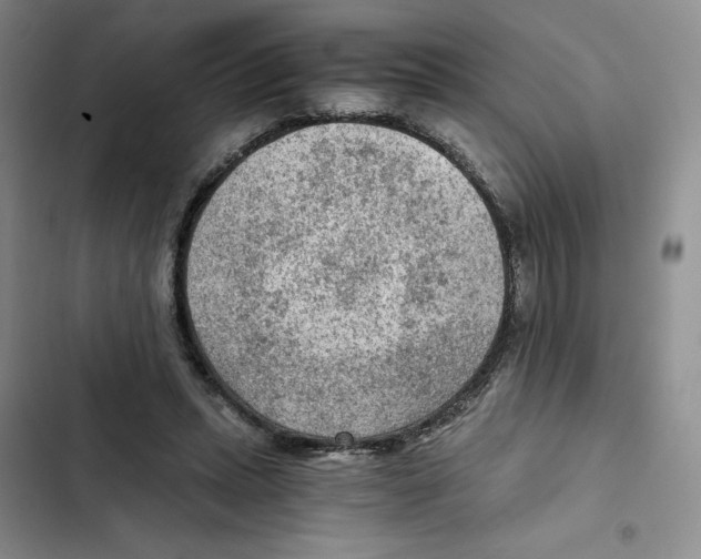X0000102280447200808221308