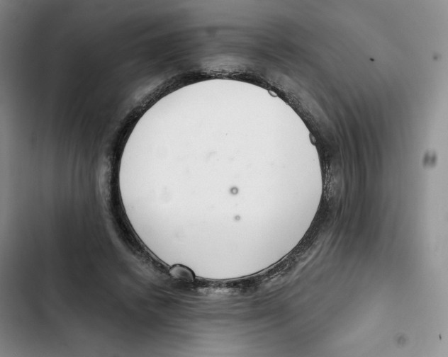 X0000102280448200808221308