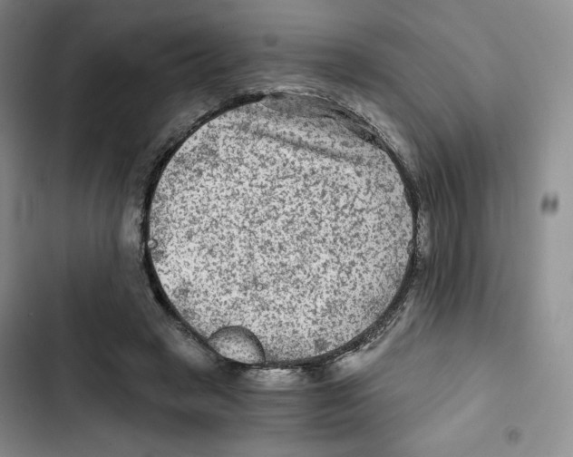 X0000102280449200808221308